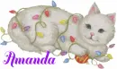 Amanda