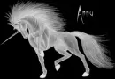 anna ghost unicorn
