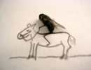 Fly