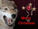 Merry