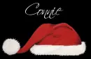 conie mouse in santa hat