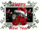 Happy New year