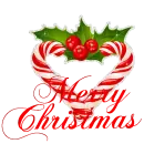 Candy Cane & Holly: Merry Christmas