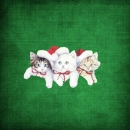 Green Christmas kitties.