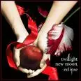 the twilight saga