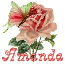 Amanda