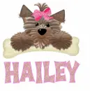 Hailey
