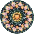 COLOR CIRCLE