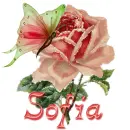 Sofia