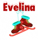 Ice Skates,Gift, Evelina