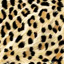 Leopard Skin