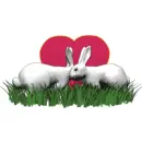 rabbit love