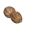 peanut opening