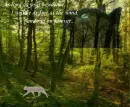 Warrior Cats: Hawkshadow