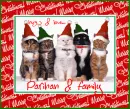 Merry Xmas-love,Parihan