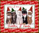 Merry Xmas-love,Dorothy