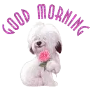 GOOD MORNING