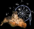 WOLVES
