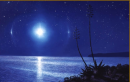 Moonlit night