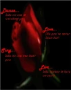 Dance, LIve...