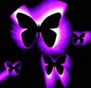 butterfly background