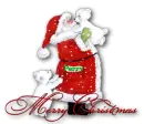 Merry Christmas - Perry