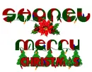Merry Christmas SHanel