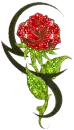 glitter rose tatoo