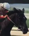 Horse racing