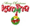 Karina  ... Seasonal Wreath