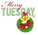 Merry Tuesday