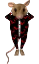 Dancing rat