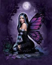 Fairy Night