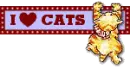 I Love Cats