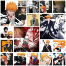 Ichigo Kurosaki background