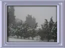 winter scene