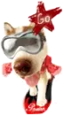 cute puppy