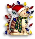 cute cat and christmas lights