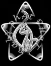 baby phat