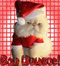 bah humbug kitty