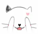 cute kitty