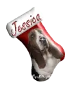 red basset hound stocking jessica