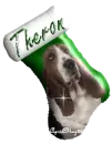 green basset hound stocking Theron