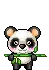 panda
