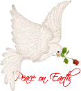 dove peace on earth red rose