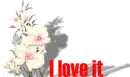 I LOVE IT 