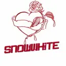 ROSE - SNOWWHITE 