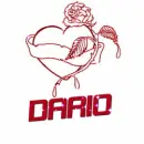 ROSE -- DARIO 