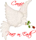 dove connie