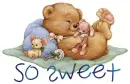 so sweet teddy bear
